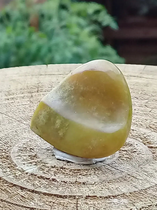 Healerite Serpentine Médiator guitare Grade A++++ Médiator guitare Serpentine