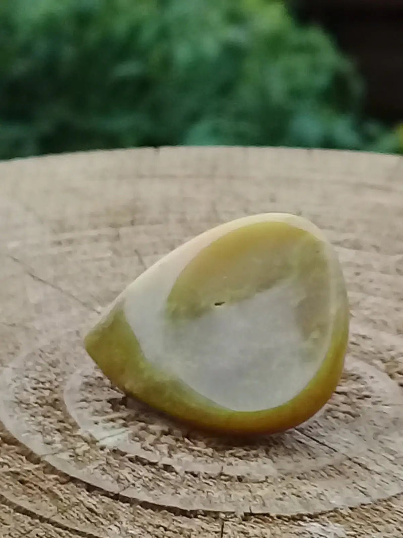 Load image into Gallery viewer, Healerite Serpentine Médiator guitare Grade A++++ Médiator guitare Serpentine
