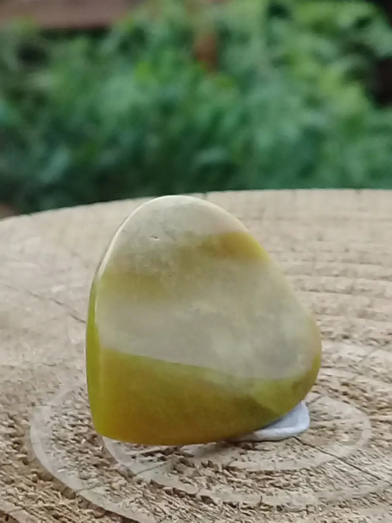 Load image into Gallery viewer, Healerite Serpentine Médiator guitare Grade A++++ Médiator guitare Serpentine
