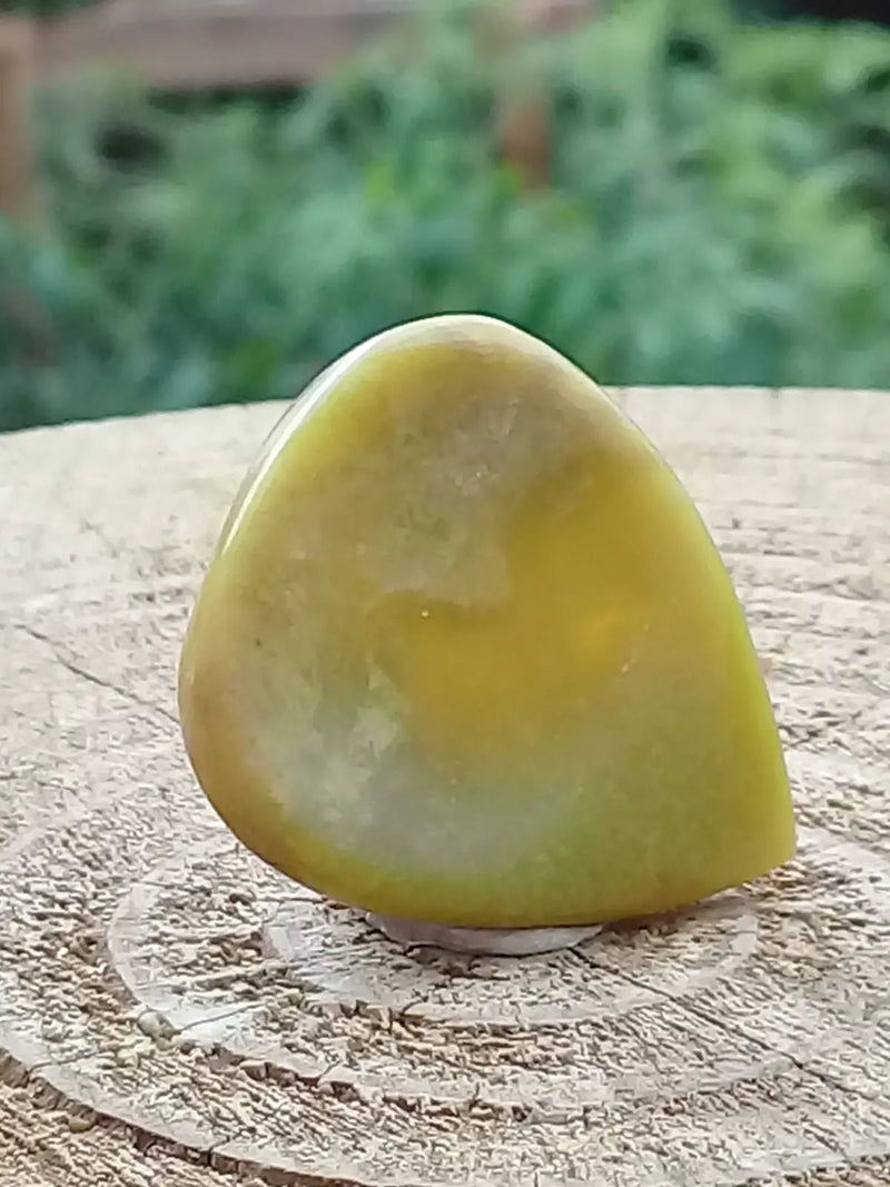 Load image into Gallery viewer, Healerite Serpentine Médiator guitare Grade A++++ Médiator guitare Serpentine
