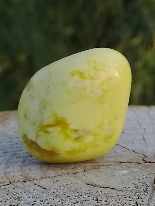 Healerite Serpentine pierre roulée Grade A+++ Healerite Serpentine pierre roulée