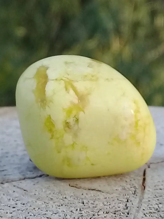 Healerite Serpentine pierre roulée Grade A+++ Healerite Serpentine pierre roulée