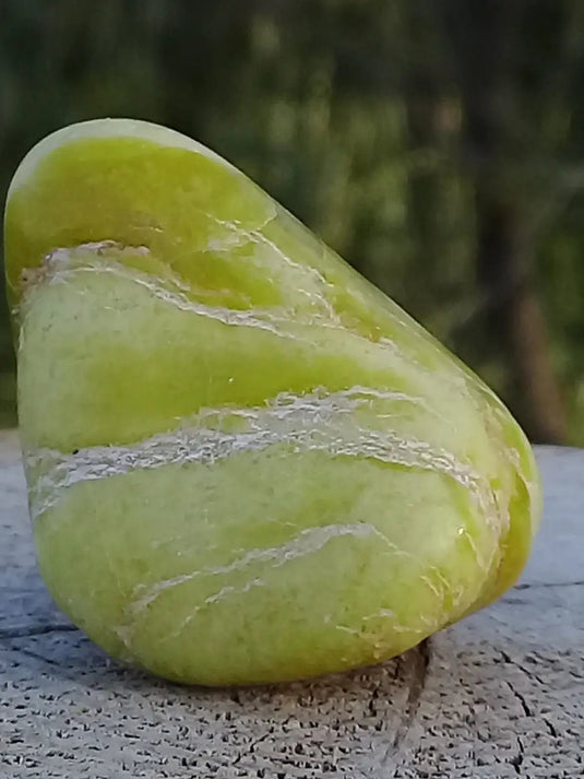 Healerite Serpentine pierre roulée Grade A+++ (Très rare) Healerite Serpentine pierre roulée