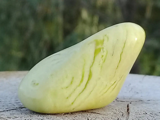 Healerite Serpentine pierre roulée Grade A+++ (Très rare) Healerite Serpentine pierre roulée