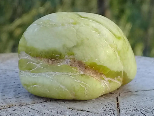 Healerite Serpentine pierre roulée Grade A+++ (Très rare) Healerite Serpentine pierre roulée