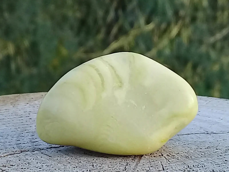 Load image into Gallery viewer, Healerite Serpentine pierre roulée Grade A+++ (Très rare) Healerite Serpentine pierre roulée
