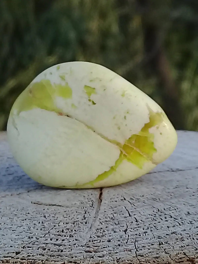 Load image into Gallery viewer, Healerite Serpentine pierre roulée Grade A++++ (Très rare) Healerite Serpentine pierre roulée
