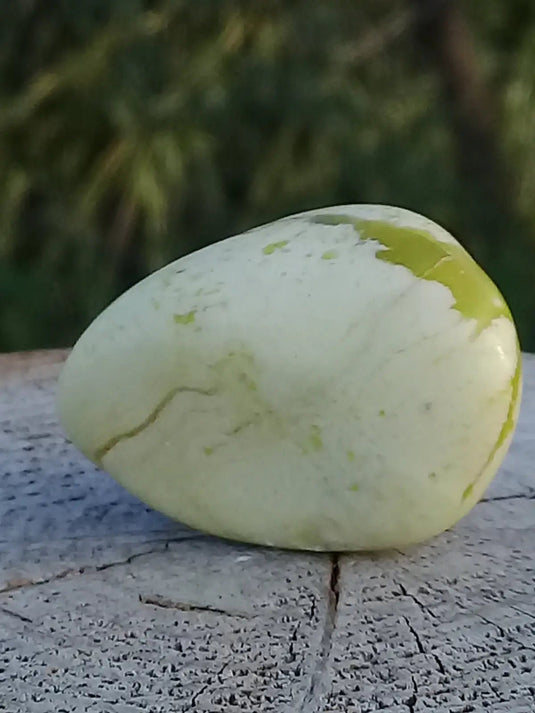 Healerite Serpentine pierre roulée Grade A++++ (Très rare) Healerite Serpentine pierre roulée