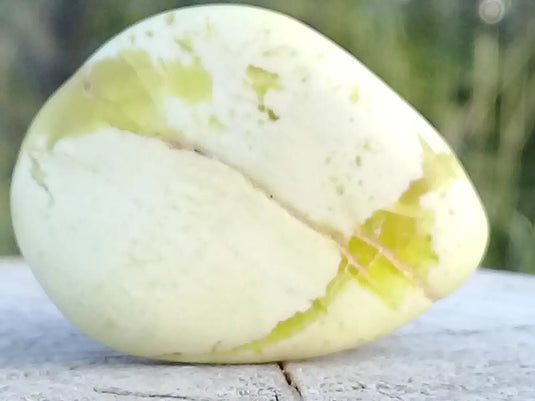 Healerite Serpentine pierre roulée Grade A++++ (Très rare) Healerite Serpentine pierre roulée