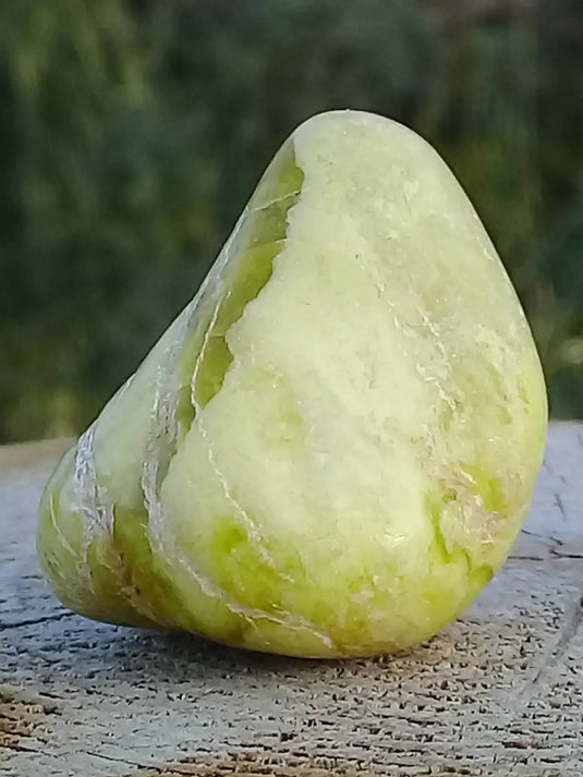 Healerite Serpentine pierre roulée Grade A+++ (Très rare) Healerite Serpentine pierre roulée