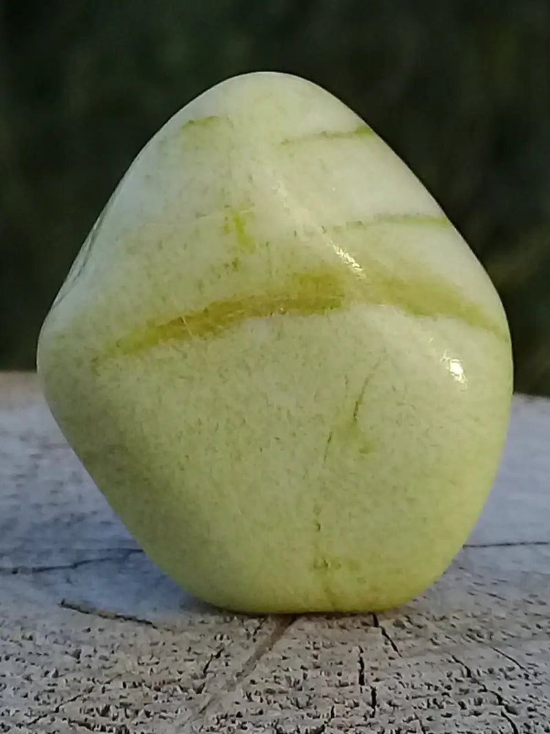 Load image into Gallery viewer, Healerite Serpentine pierre roulée Grade A+++ (très rare) Healerite Serpentine pierre roulée
