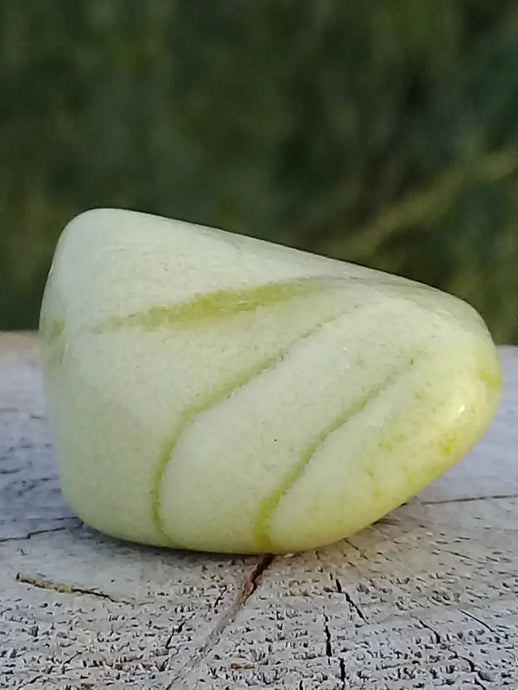 Healerite Serpentine pierre roulée Grade A+++ (très rare) Healerite Serpentine pierre roulée