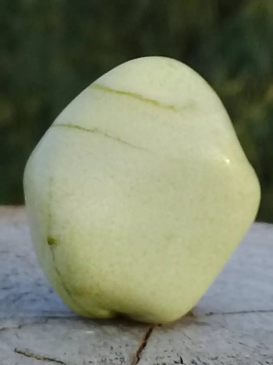 Healerite Serpentine pierre roulée Grade A+++ (très rare) Healerite Serpentine pierre roulée