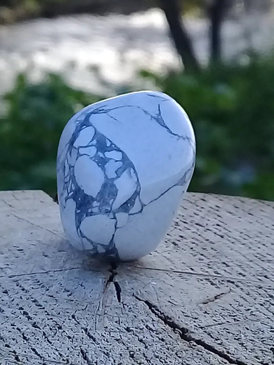 Howlite pierre roulée Grade A ++++ Howlite pierre roulée