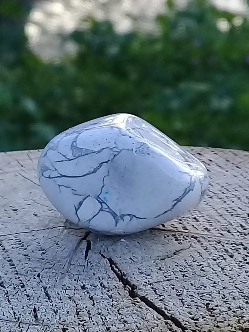 Load image into Gallery viewer, Howlite pierre roulée Grade A ++++ Howlite pierre roulée
