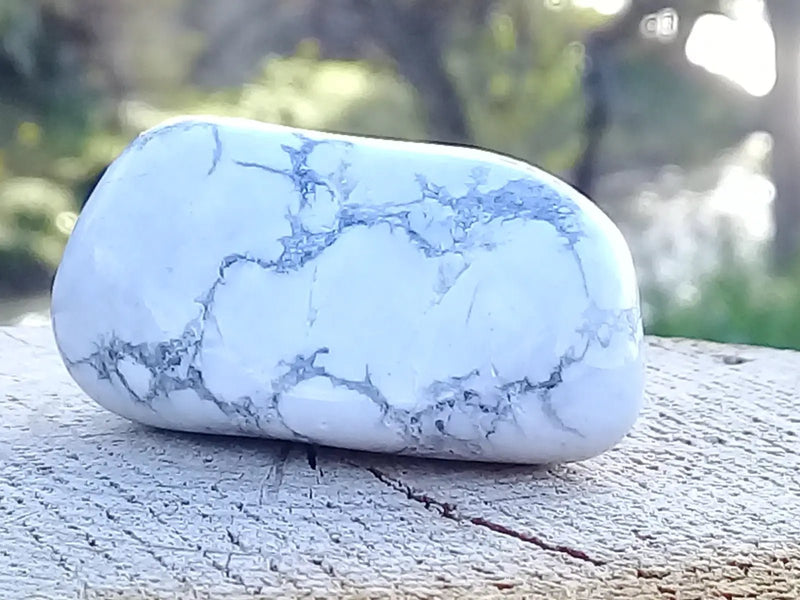 Load image into Gallery viewer, Howlite pierre roulée Grade A ++++ Howlite pierre roulée
