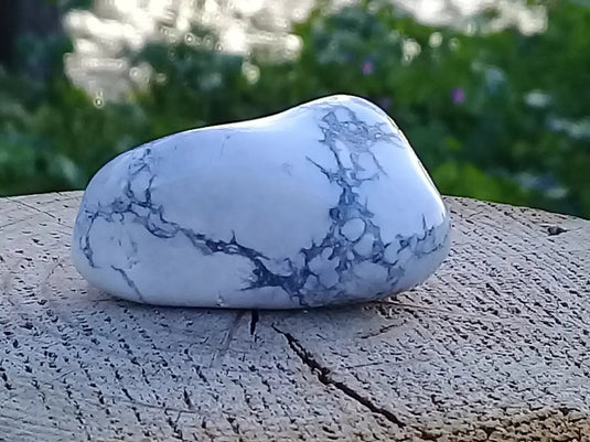 Howlite pierre roulée Grade A ++++ Howlite pierre roulée