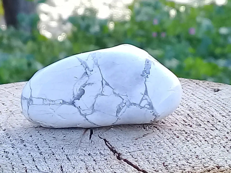 Load image into Gallery viewer, Howlite pierre roulée Grade A ++++ Howlite pierre roulée
