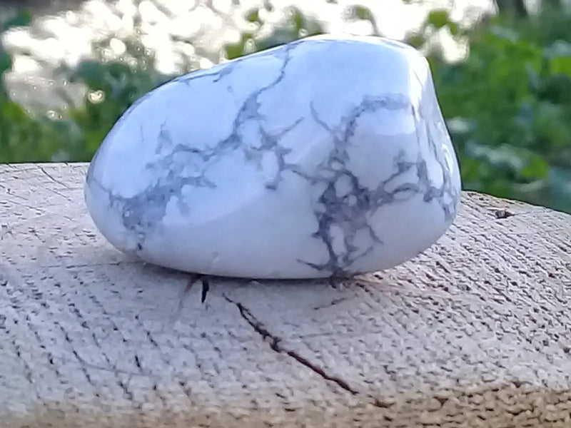 Load image into Gallery viewer, Howlite pierre roulée Grade A ++++ Howlite pierre roulée
