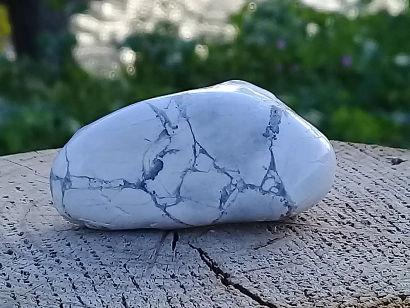 Load image into Gallery viewer, Howlite pierre roulée Grade A ++++ Howlite pierre roulée
