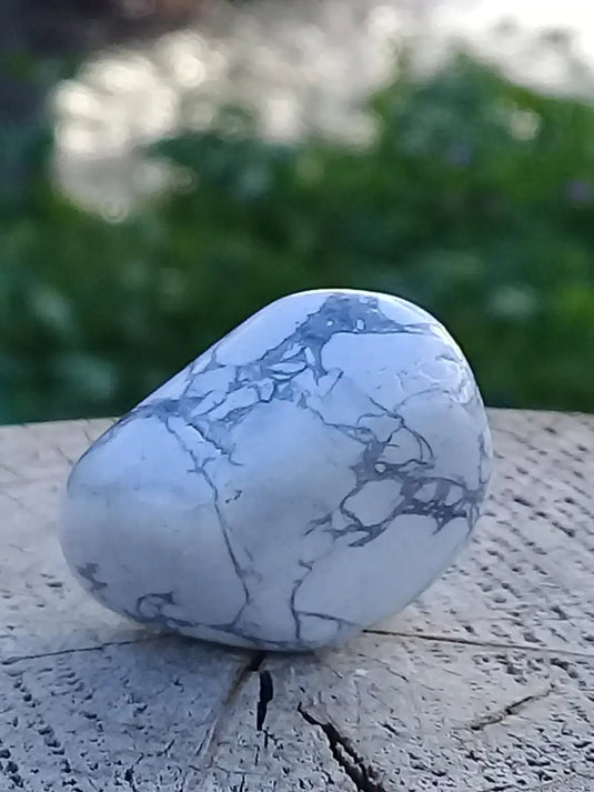 Howlite pierre roulée Grade A ++++ Howlite pierre roulée