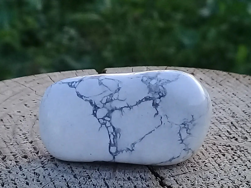 Load image into Gallery viewer, Howlite pierre roulée Grade A ++++ Howlite pierre roulée
