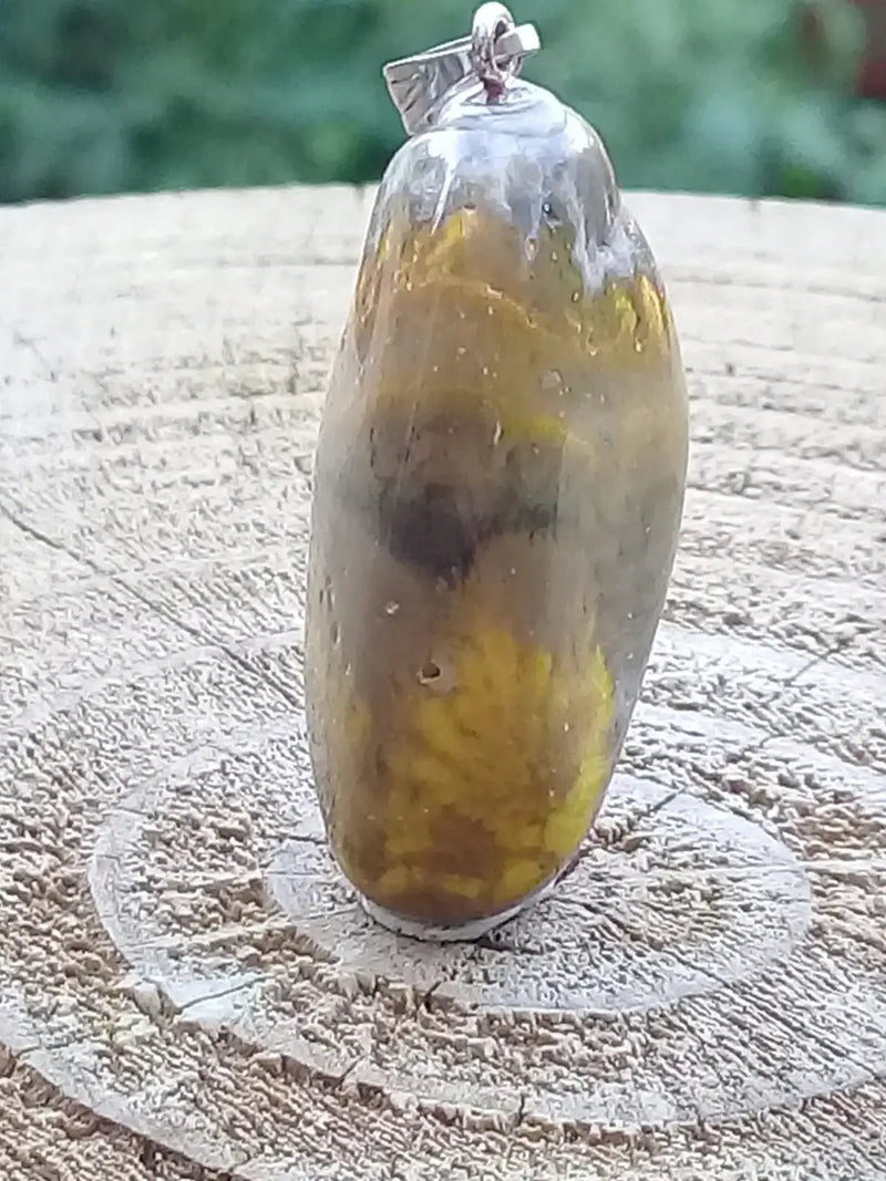 Load image into Gallery viewer, Jaspe Bourdon ou Jaspe Bumble-Bee pendentif Grade A+++ Rare Fourni avec cordon Jaspe Bourdon ou Jaspe Bumble-Bee pendentif
