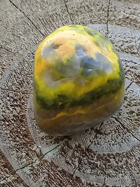 Jaspe Bourdon ou Jaspe Bumble-Bee pierre roulée Grade A+++ Jaspe Bourdon / Jaspe Bumble-Bee pierre roulée