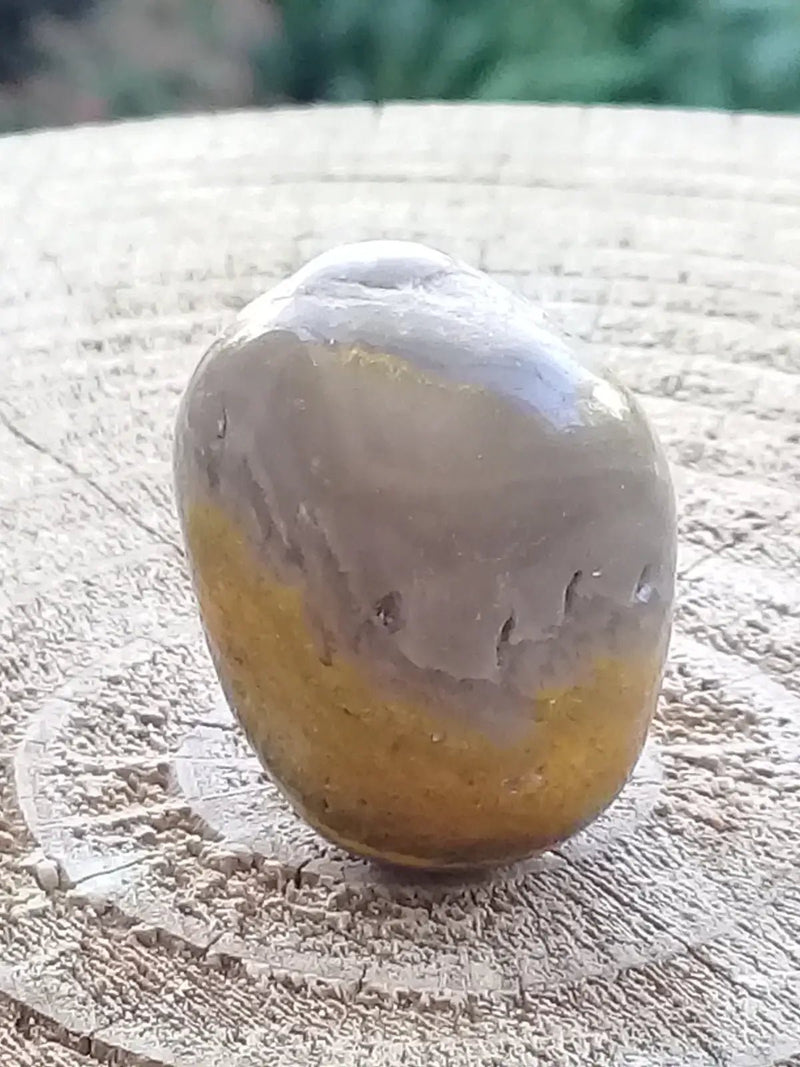 Chargez l&#39;image dans la visionneuse de la galerie, Jaspe Bourdon ou Jaspe Bumble-Bee pierre roulée Grade A+++ Jaspe Bourdon / Jaspe Bumble-Bee pierre roulée
