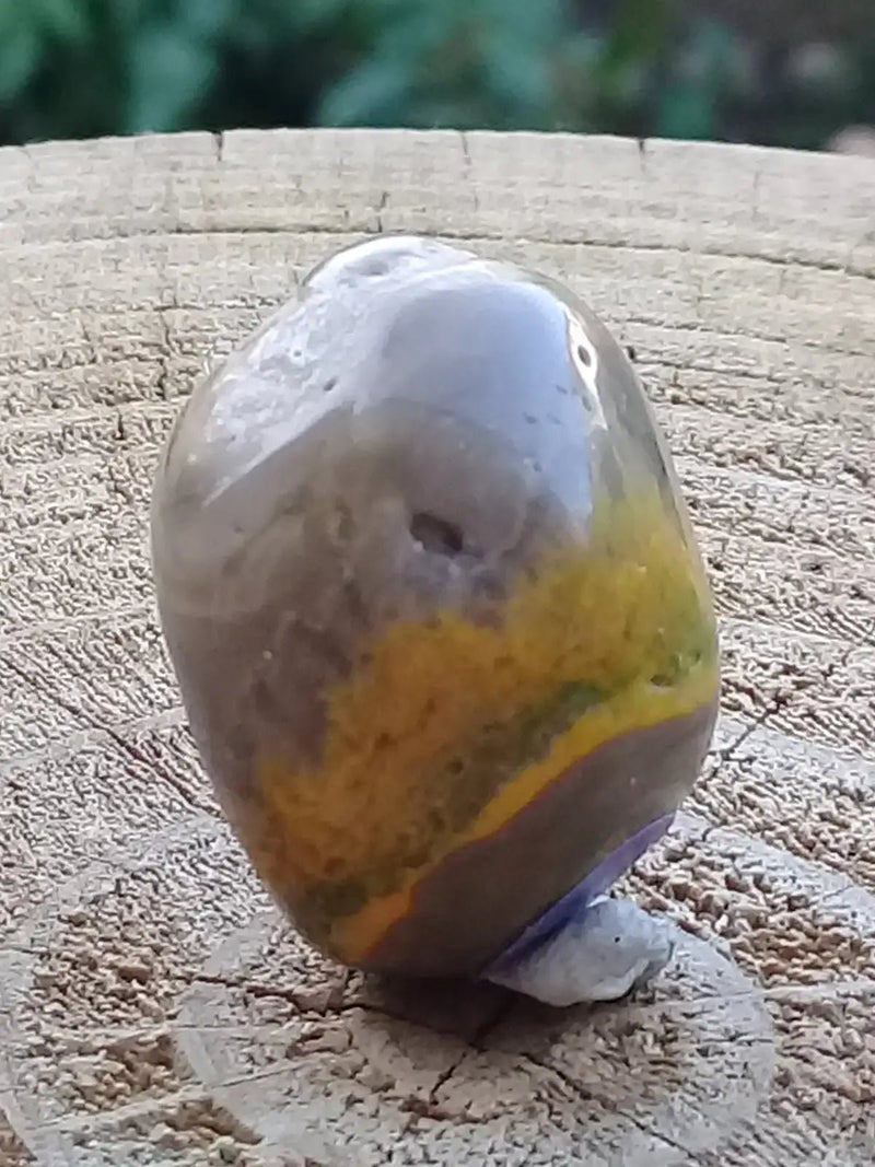 Chargez l&#39;image dans la visionneuse de la galerie, Jaspe Bourdon ou Jaspe Bumble-Bee pierre roulée Grade A+++ Jaspe Bourdon / Jaspe Bumble-Bee pierre roulée
