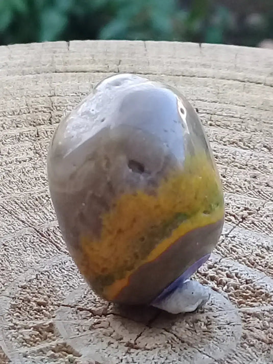 Jaspe Bourdon ou Jaspe Bumble-Bee pierre roulée Grade A+++ Jaspe Bourdon / Jaspe Bumble-Bee pierre roulée