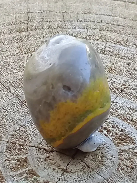 Jaspe Bourdon ou Jaspe Bumble-Bee pierre roulée Grade A+++ Jaspe Bourdon / Jaspe Bumble-Bee pierre roulée