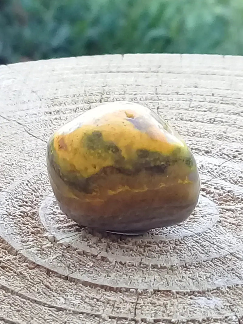 Chargez l&#39;image dans la visionneuse de la galerie, Jaspe Bourdon ou Jaspe Bumble-Bee pierre roulée Grade A+++ Jaspe Bourdon / Jaspe Bumble-Bee pierre roulée
