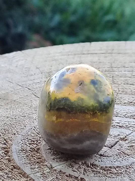 Jaspe Bourdon ou Jaspe Bumble-Bee pierre roulée Grade A+++ Jaspe Bourdon / Jaspe Bumble-Bee pierre roulée