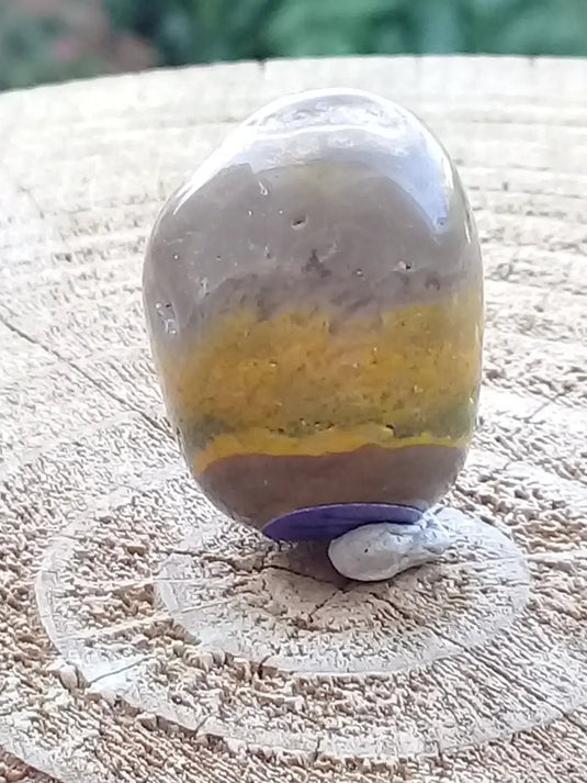 Jaspe Bourdon ou Jaspe Bumble-Bee pierre roulée Grade A+++ Jaspe Bourdon / Jaspe Bumble-Bee pierre roulée