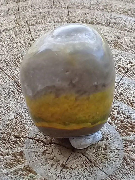 Jaspe Bourdon ou Jaspe Bumble-Bee pierre roulée Grade A+++ Jaspe Bourdon / Jaspe Bumble-Bee pierre roulée