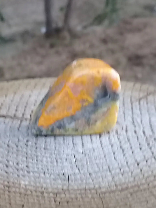 Jaspe Bourdon ou Jaspe Bumble-Bee pierre roulée Grade A ++++ Rare Jaspe Bourdon / Jaspe Bumble-Bee