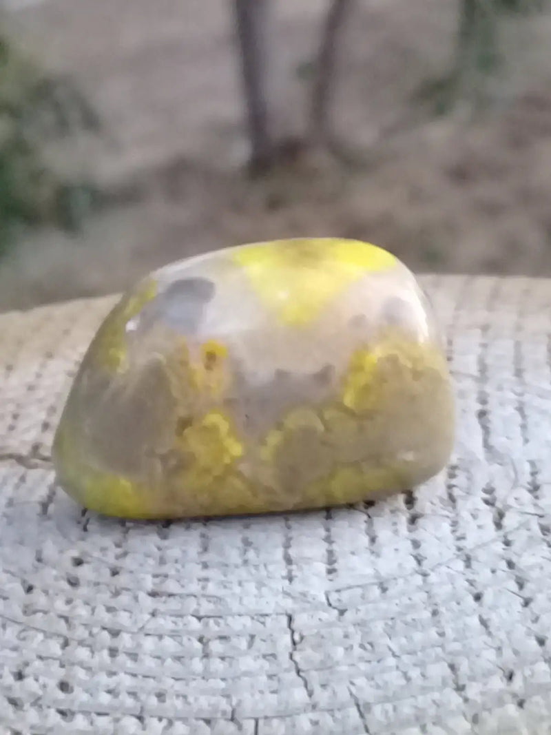 Chargez l&#39;image dans la visionneuse de la galerie, Jaspe Bourdon ou Jaspe Bumble-Bee pierre roulée Grade A +++ Rare Jaspe Bourdon / Jaspe Bumble-Bee
