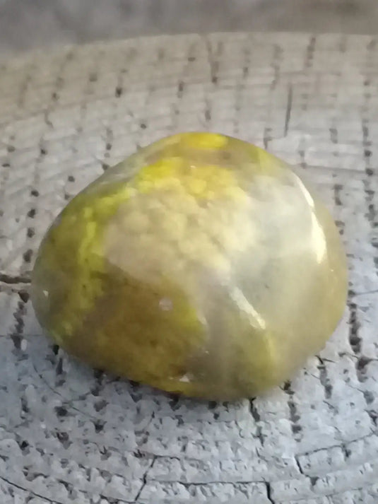 Jaspe Bourdon ou Jaspe Bumble-Bee pierre roulée Grade A +++ Rare Jaspe Bourdon / Jaspe Bumble-Bee