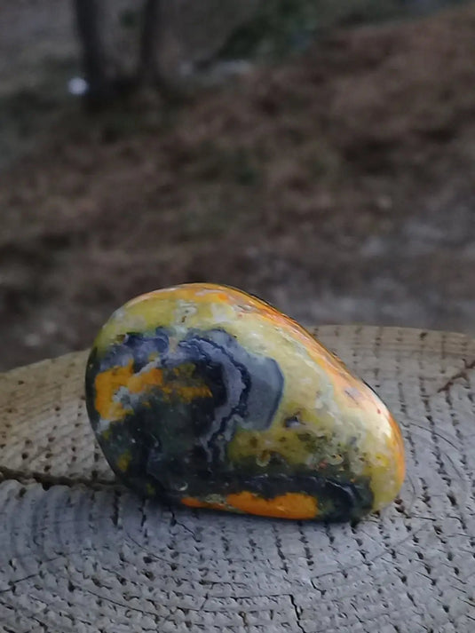 Jaspe Bourdon ou Jaspe Bumble-Bee pierre roulée Grade A ++++ Rare Jaspe Bourdon / Jaspe Bumble-Bee