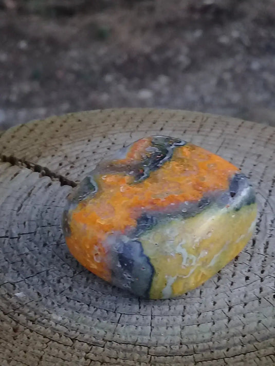 Jaspe Bourdon ou Jaspe Bumble-Bee pierre roulée Grade A ++++ Rare Jaspe Bourdon / Jaspe Bumble-Bee