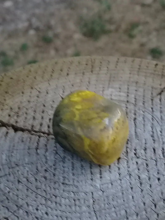 Jaspe Bourdon ou Jaspe Bumble-Bee pierre roulée Grade A +++ Rare Jaspe Bourdon / Jaspe Bumble-Bee