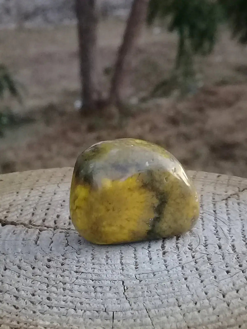 Chargez l&#39;image dans la visionneuse de la galerie, Jaspe Bourdon ou Jaspe Bumble-Bee pierre roulée Grade A +++ Rare Jaspe Bourdon / Jaspe Bumble-Bee
