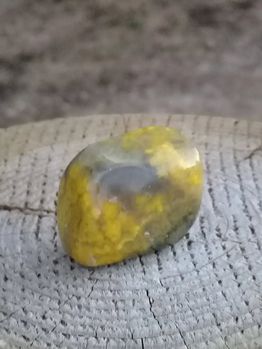 Jaspe Bourdon ou Jaspe Bumble-Bee pierre roulée Grade A +++ Rare Jaspe Bourdon / Jaspe Bumble-Bee