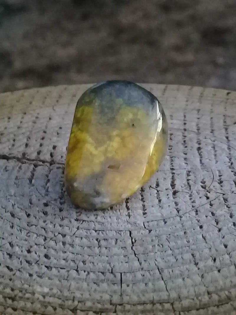 Chargez l&#39;image dans la visionneuse de la galerie, Jaspe Bourdon ou Jaspe Bumble-Bee pierre roulée Grade A +++ Rare Jaspe Bourdon / Jaspe Bumble-Bee
