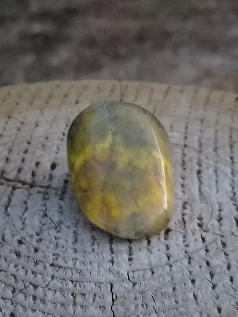 Chargez l&#39;image dans la visionneuse de la galerie, Jaspe Bourdon ou Jaspe Bumble-Bee pierre roulée Grade A +++ Rare Jaspe Bourdon / Jaspe Bumble-Bee
