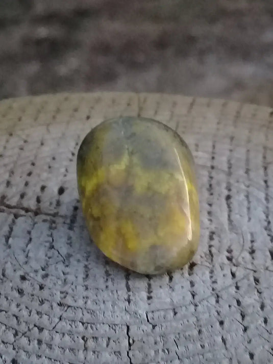 Jaspe Bourdon ou Jaspe Bumble-Bee pierre roulée Grade A +++ Rare Jaspe Bourdon / Jaspe Bumble-Bee