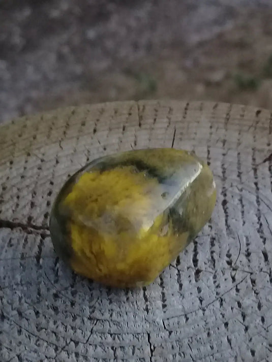 Jaspe Bourdon ou Jaspe Bumble-Bee pierre roulée Grade A +++ Rare Jaspe Bourdon / Jaspe Bumble-Bee