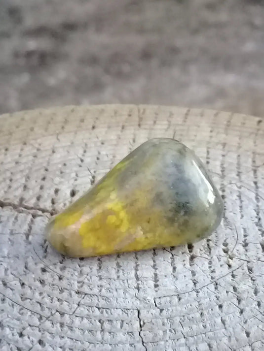 Jaspe Bourdon ou Jaspe Bumble-Bee pierre roulée Grade A +++ Rare Jaspe Bourdon / Jaspe Bumble-Bee