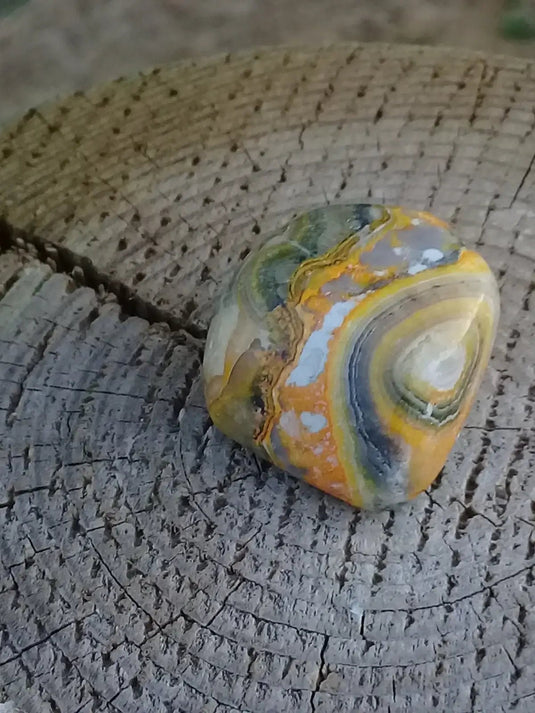 Jaspe Bourdon ou Jaspe Bumble-Bee pierre roulée Grade A ++++ Rare Jaspe Bourdon / Jaspe Bumble-Bee